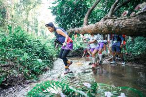 BIB: 
                            <button type="button" onclick="openModal(25465423)" class="btn btn-primary btn-sm float-right btn-popup" data-toggle="modal" data-target=".modal-high-quality">
                        <i class="fas fa-shopping-cart"></i> Add to Cart
                    </button>
                                            <button type="button" onclick="isThisMe(25465423, true)" class="btn btn-success btn-sm float-right btn-popup btn-isme hidden" data-toggle="tooltip" data-placement="bottom" title="นี่คือรูปของคุณใช่ไหม คลิกที่นี่เพื่อเอาเข้าอัลบั้ม">
                        <i class="fas fa-plus"></i> Add to album
                    </button>
                    <button type="button" onclick="isThisMe(25465423, false)" class="btn btn-warning btn-sm float-right btn-popup btn-isnotme hidden">
                        <i class="fas fa-ban"></i> Remove from album
                    </button>